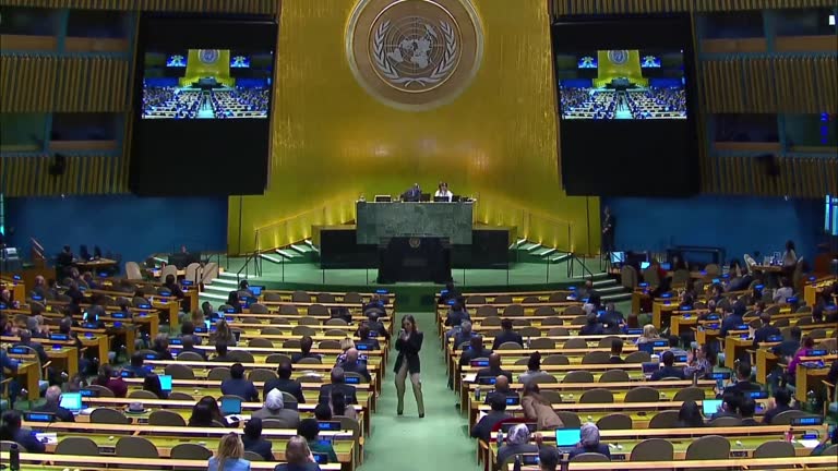 General Assembly Example 2,228 United Nations General Assembly Stock Videos, Footage, & 4K Video ...