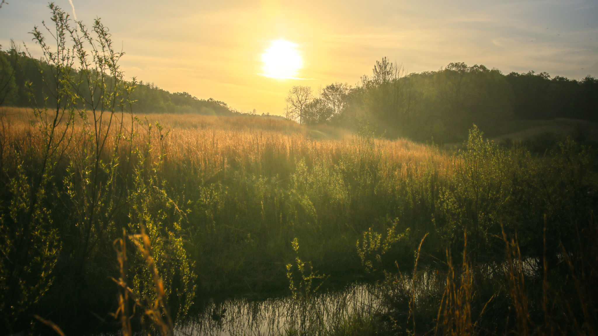 Sunrise Rural Tennessee with Stream and Big Sun Rising in Valley Sunrise Rural Tennessee with Stream and Big Sun Rising in Valley