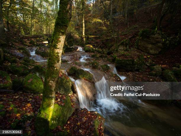 twannbach river and waterfall - bach stock-fotos und bilder