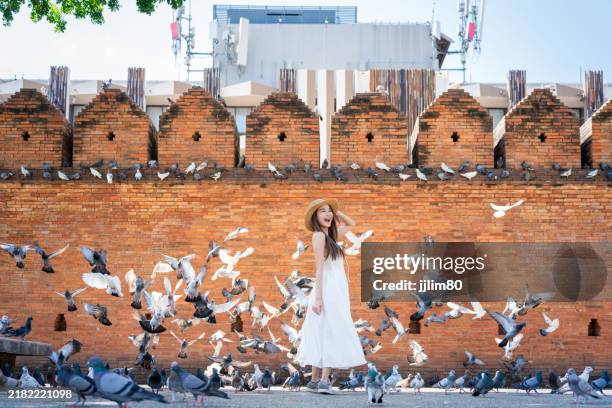 mulher asiática alegre cercada por pombos voadores na frente da parede de tijolos histórica no portão de tha phae, chiang mai - província de chiang mai - fotografias e filmes do acervo