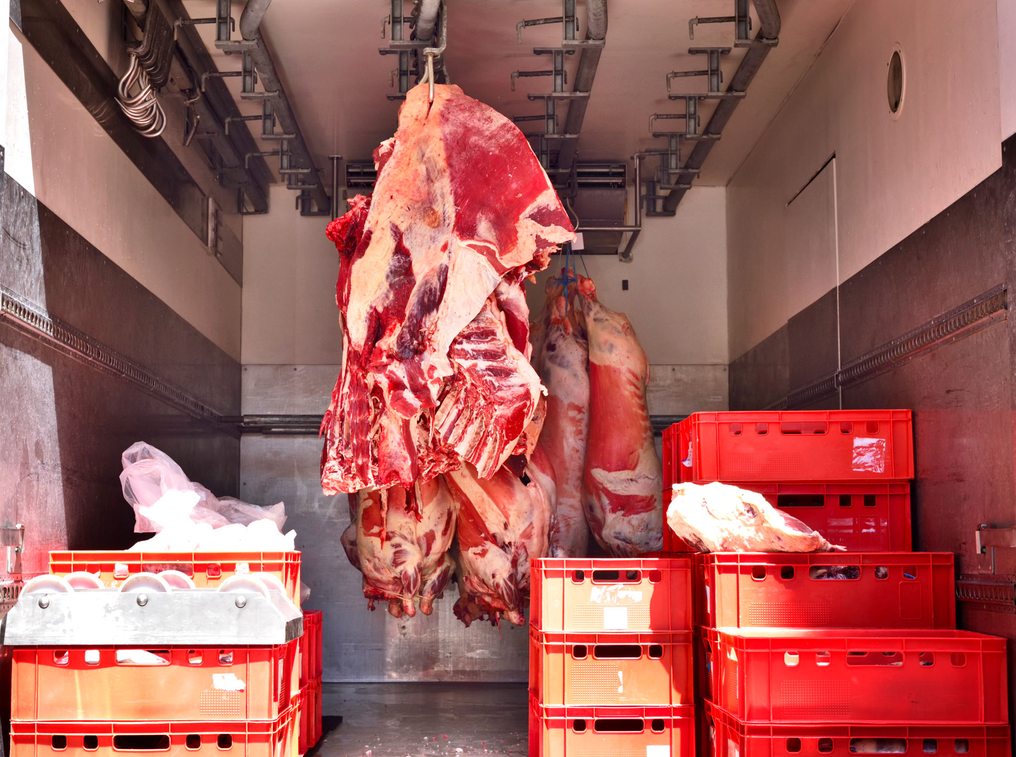 sustainable meat production