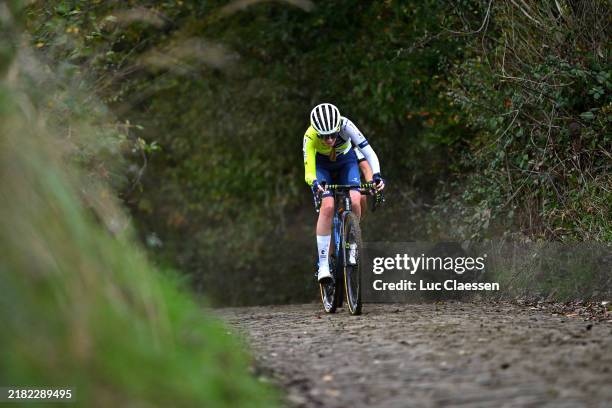35th Trofee Oudenaarde - Koppenbergcross 2024 - Women's Elite, News Photo
