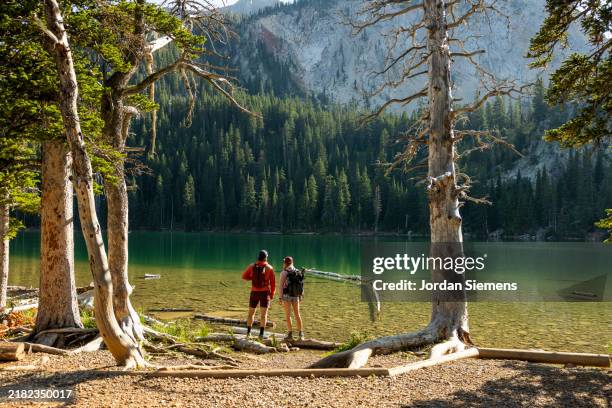 a couple enjoying a day hike in the scenic mountains of montana. - bozeman stock pictures, royalty-free photos & images