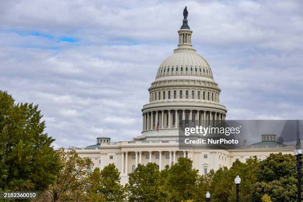 View of the US Capitol in Washington DC, United States, on November 4 ahead of the US Presidential Election.