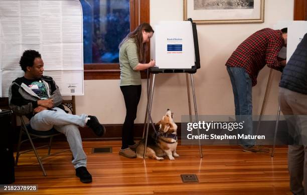 Dog named Daisy looks on as their owner fills out a ballot in a polling place at the Cincinnati Observatory on November 5, 2024 in Cincinnati, Ohio....