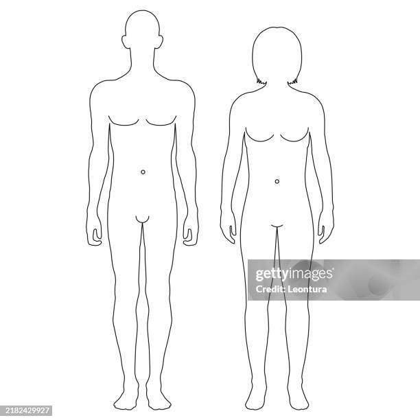illustrations, cliparts, dessins animés et icônes de le diagramme de biologie du corps humain - représentation masculine