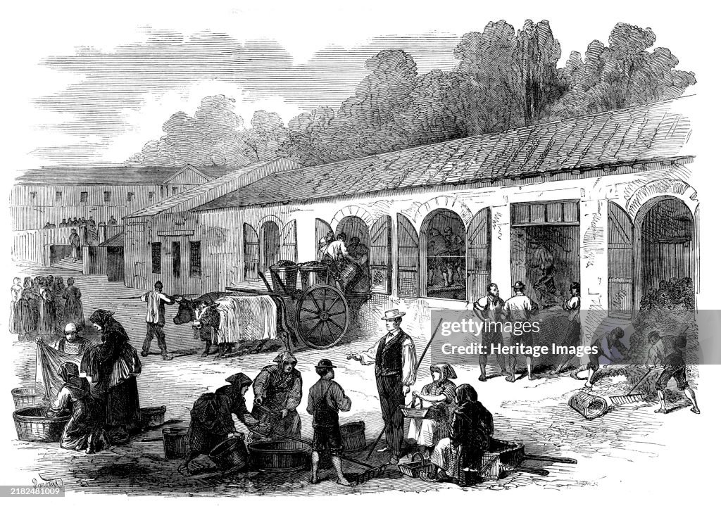 The Vintage Of Medoc: The Cuvier At Chateau Lafitte