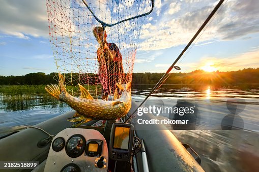 Catch of the day - large pike in a fishing net on a boat at sunset with scenic lake view Catch of the day - large pike in a fishing net on a boat at sunset with scenic lake view