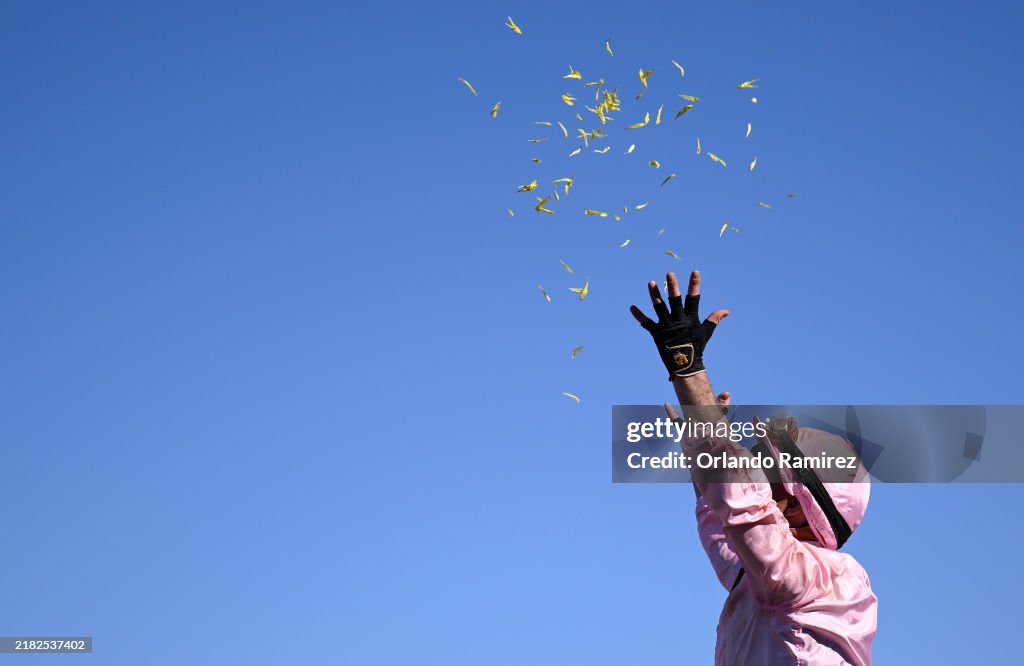 2024 Breeders' Cup World Championships