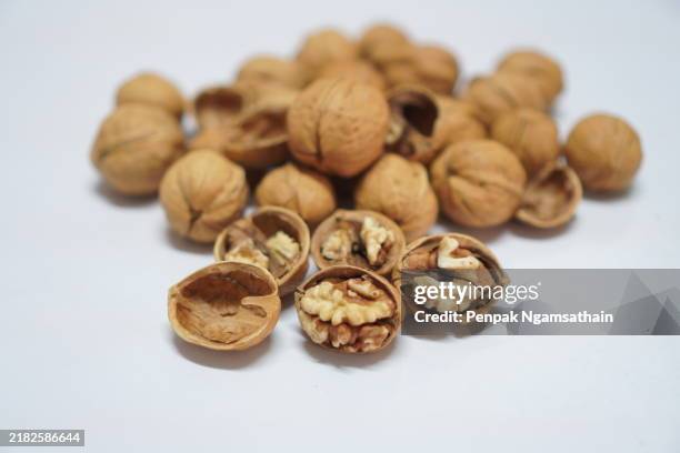 walnut - nutshell stock pictures, royalty-free photos & images