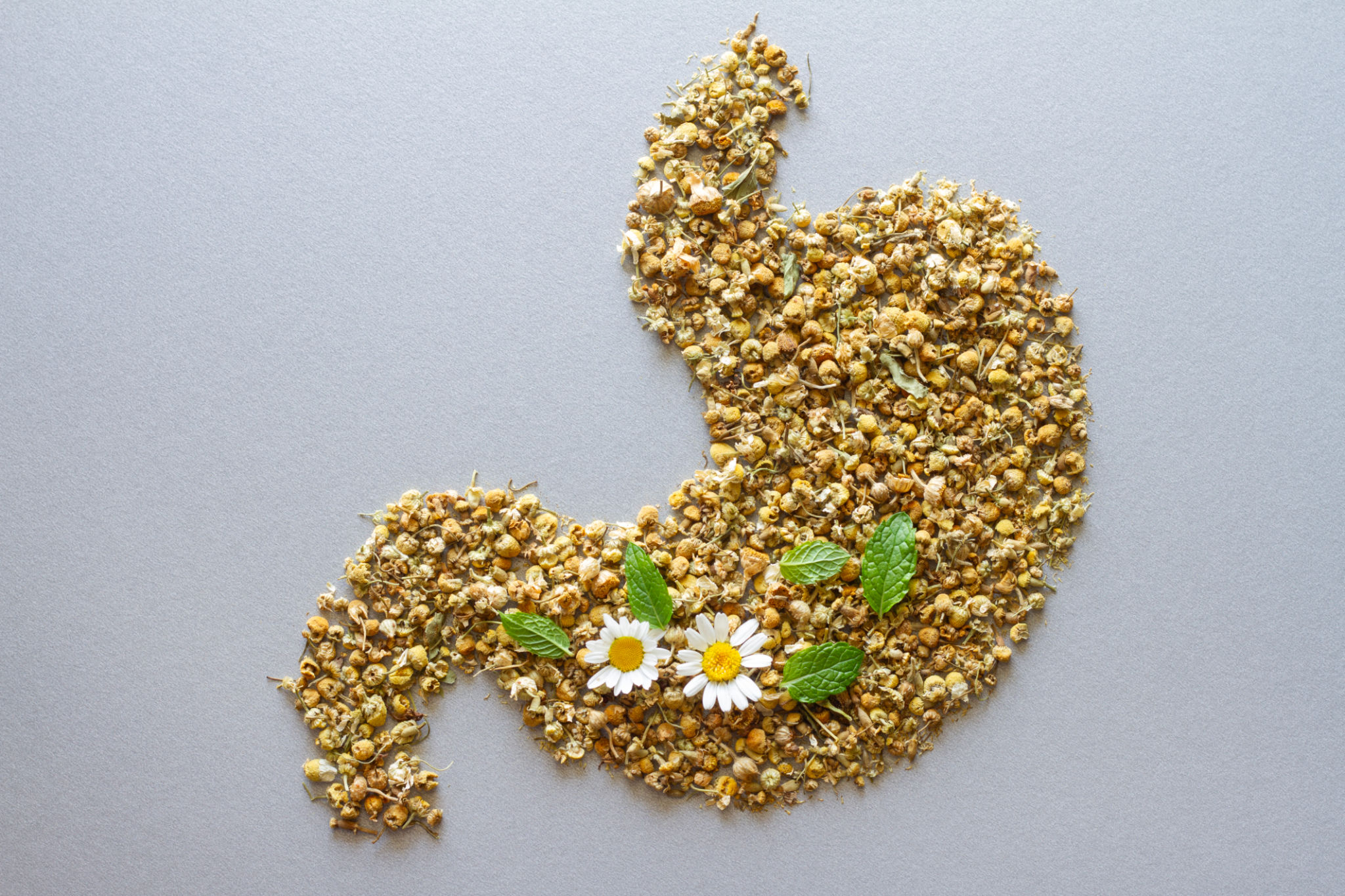 gut health