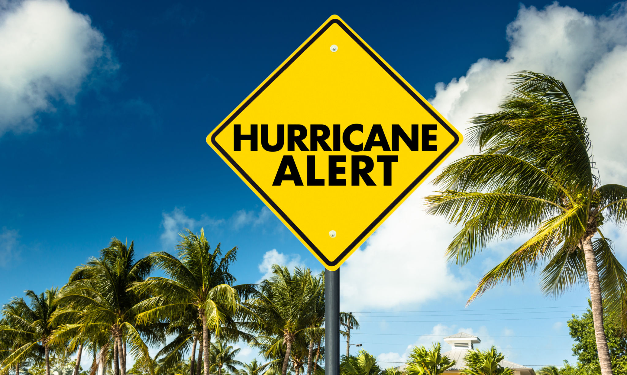hurricane preparedness office