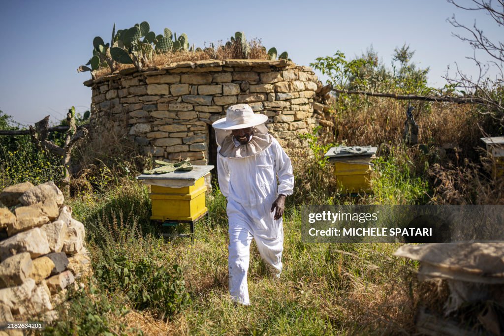 ETHIOPIA-TIGRAY-CONFLICT-AGRICULTURE-BEES