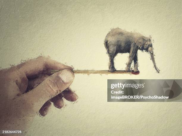 surreal painting with a tiny elephant balancing on the edge of a matchstick in a person hand. bizarre concept, endangered animals depends on human behavior - foraging stock illustrations