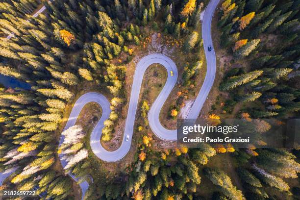winding forest road in the alpine landscape, drone view, dolomites, italy - estrada sinuosa imagens e fotografias de stock