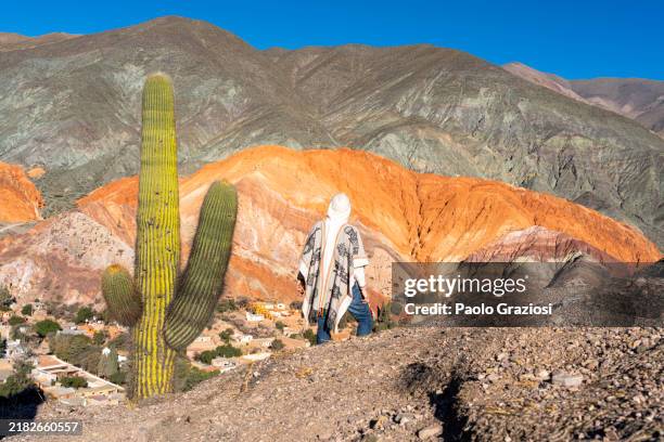 turista esplorando il paesaggio desertico, purmamarca, argentina - provincia-di-salta foto e immagini stock