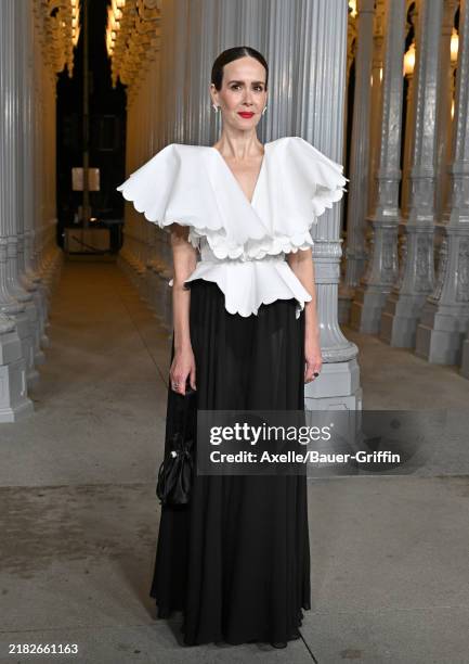 Sarah Paulson attends the 2024 LACMA Art+Film Gala at Los Angeles County Museum of Art on November 02, 2024 in Los Angeles, California.