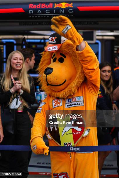 Max Verstappen Red Bull Racing fan in Lion costume at Formula One World Championship, Rd12, Belgian Grand Prix, Race, Spa Francorchamps, Belgium,...