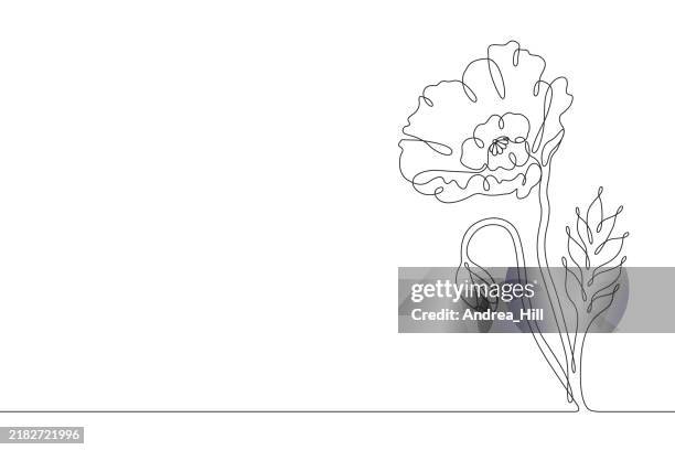 poppy, remembrance day or veterans day continuous line drawing with editable stroke and copy space - poppy drawing stock illustrations