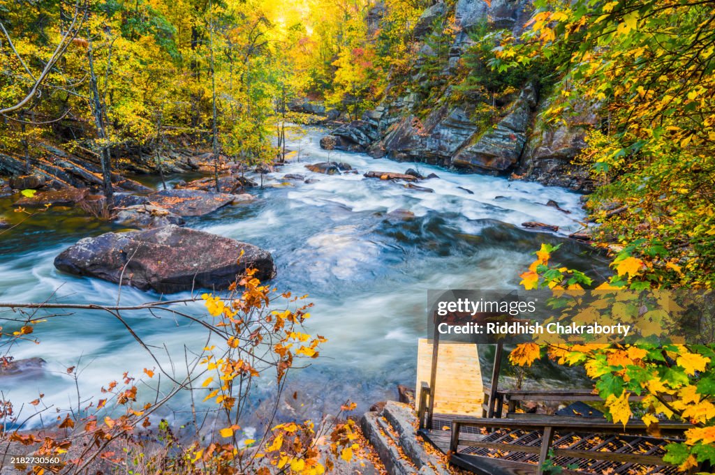 Tallulah Gorge State Park Foliage