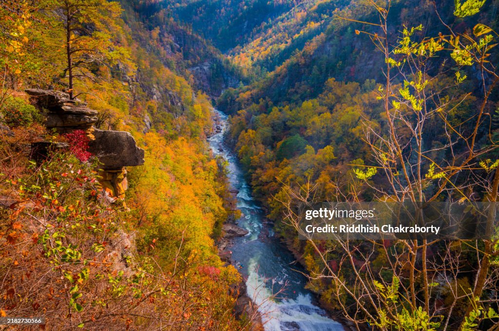 Tallulah Gorge State Park Foliage