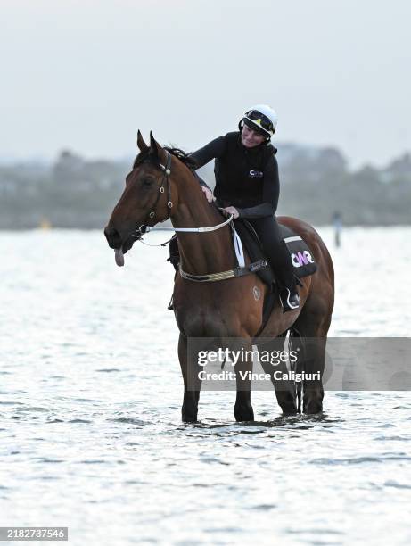Emma Rakowski 1,652 Courtney North Photos & High Res Pictures - Getty Images