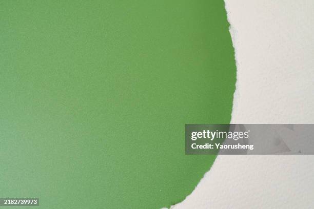 torn paper frame,green against white background,copy space - white construction paper texture stock pictures, royalty-free photos & images