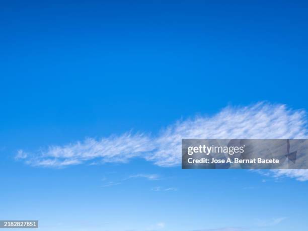 clear sunny blue sky with a thin, high white cloud. - mittag stock-fotos und bilder