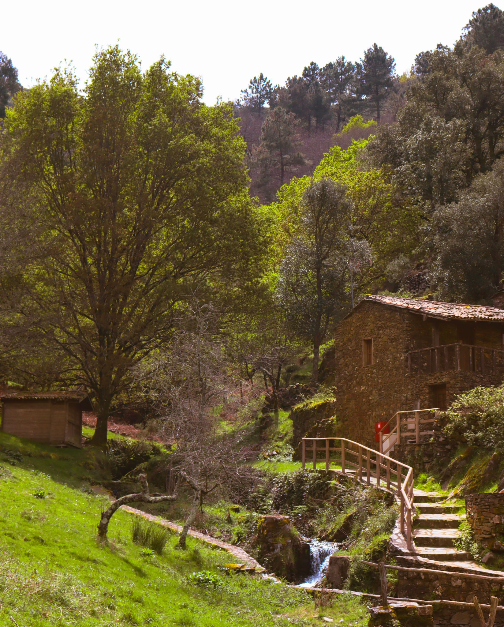 rural eco-village