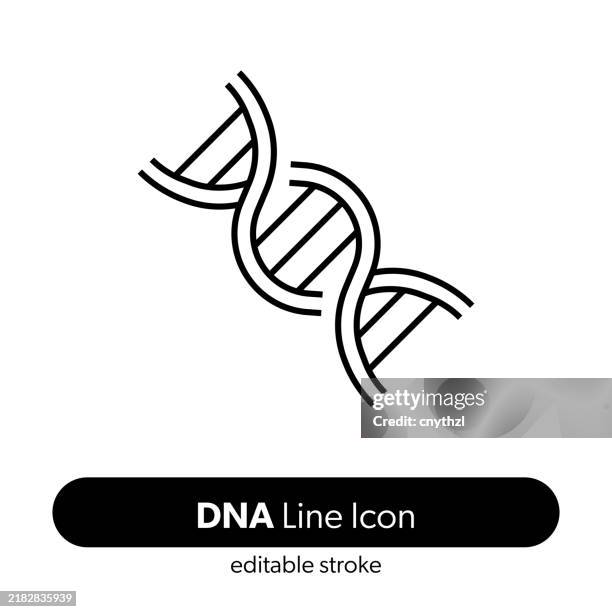 bildbanksillustrationer, clip art samt tecknat material och ikoner med dna line icon. editable stroke vector icon. - dna