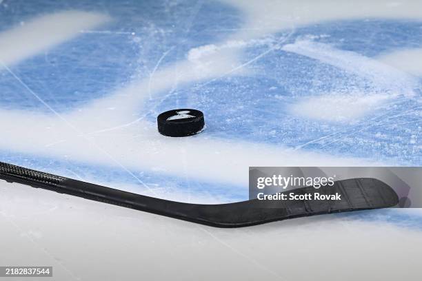 Stick and puck before the game between the St. Louis Blues and the Utah Hockey Club on November 7, 2024 at the Enterprise Center in St. Louis,...
