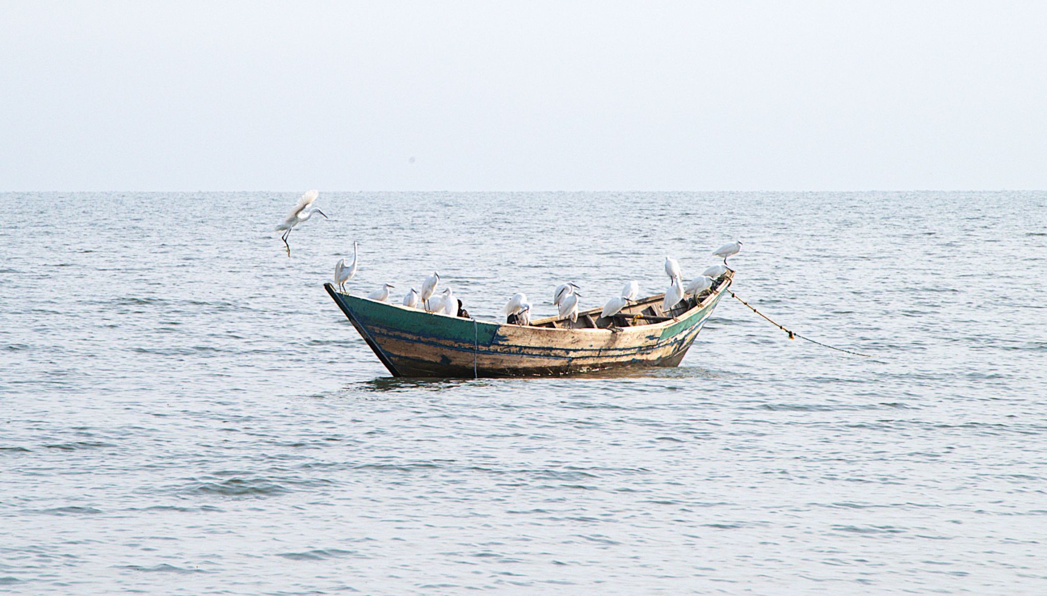 lake victoria