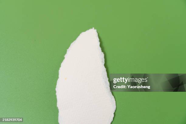 torn paper frame,green against white background,copy space - white construction paper texture stock pictures, royalty-free photos & images