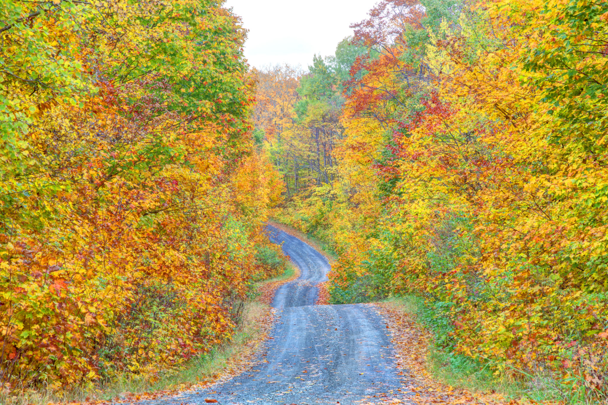 greenville road