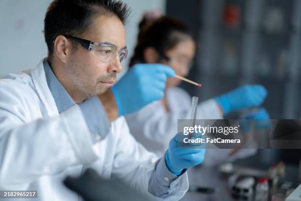 swabbing samples - cotton bud stock pictures, royalty-free photos & images