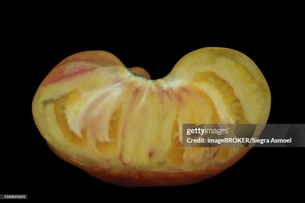 Halved tomato of the old oxheart variety, studio shot against black background