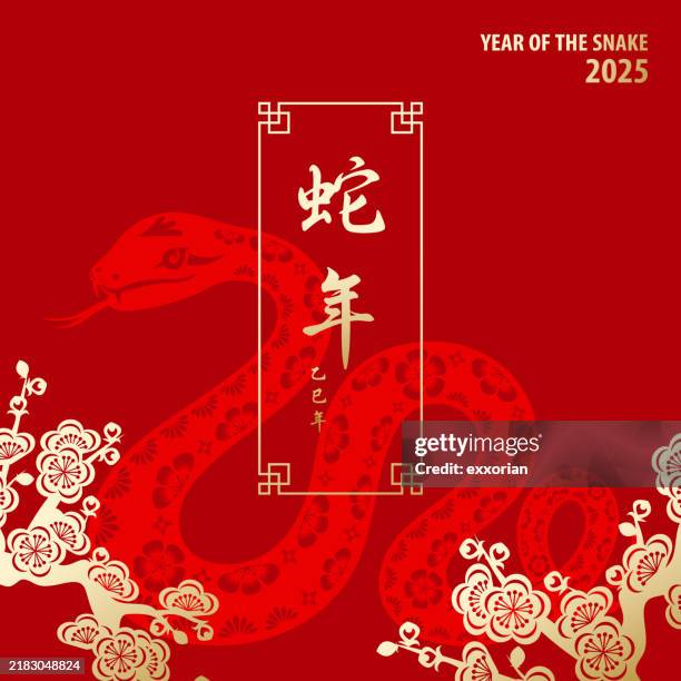bildbanksillustrationer, clip art samt tecknat material och ikoner med 2025 year of the snake greetings - kinesisk kultur