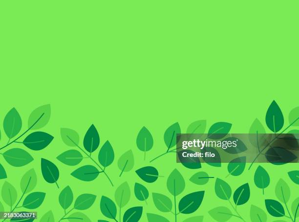 leaves border spring edge pattern background abstract - tree canopy stock illustrations