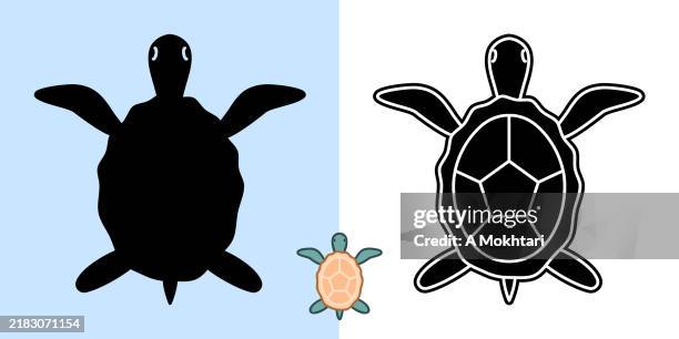 turtle icon. - turtle shell stock illustrations