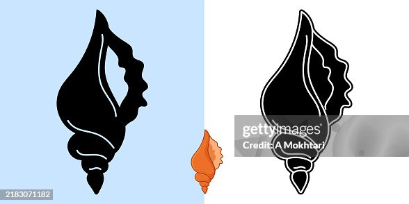 Seashell icon. Seashell icon.
