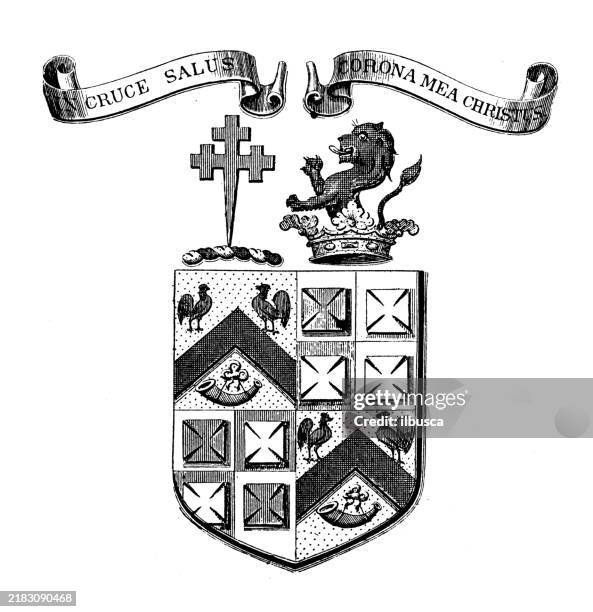 wappenemblem: john chetwood-aiken - lion logo design stock-grafiken, -clipart, -cartoons und -symbole