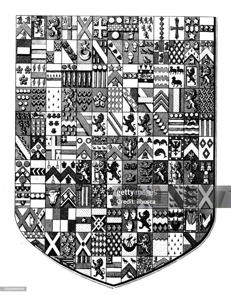 Simple Heraldry Heraldry Coat Of Arms Emblem High-Res Vector Graphic - Getty Images