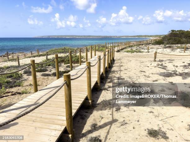 beach path at platja es arenals, playa migjorn, formentera, balearic islands, spain, europe - insel formentera stock-fotos und bilder