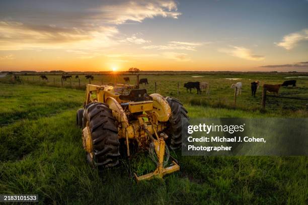 tractor at sunrise - florida farm stock pictures, royalty-free photos & images