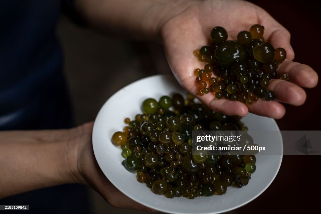 Cushuro Nostoc sphaericum is a gelatinous spherical algae,Rich in iron and protein