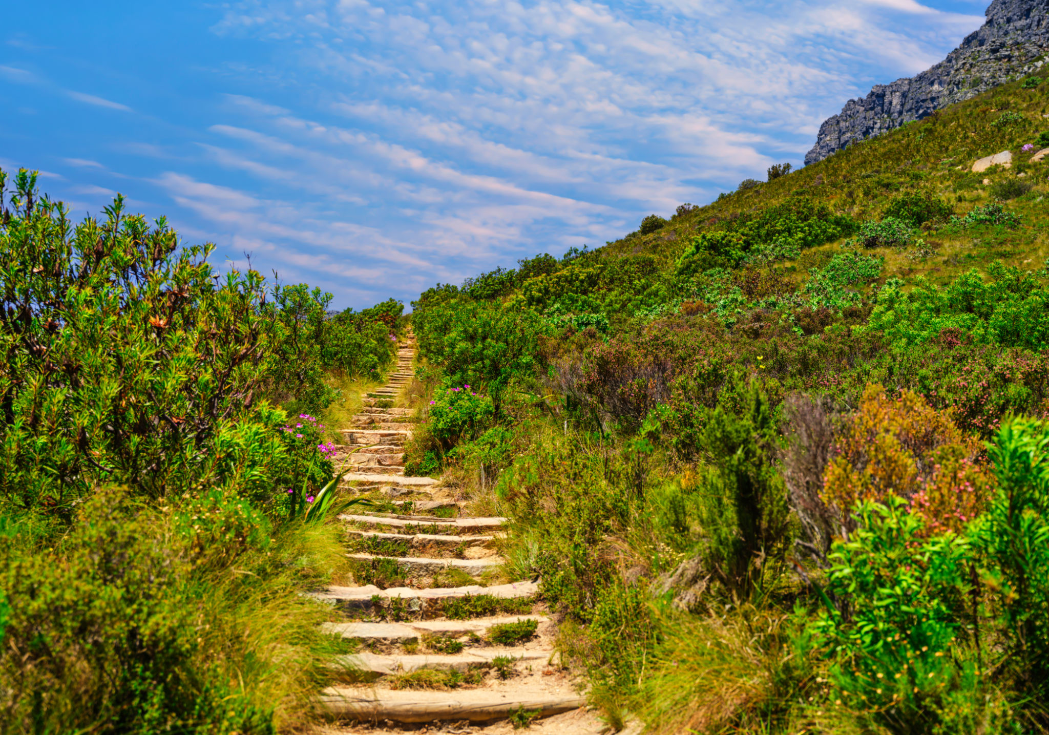 cape town hiking