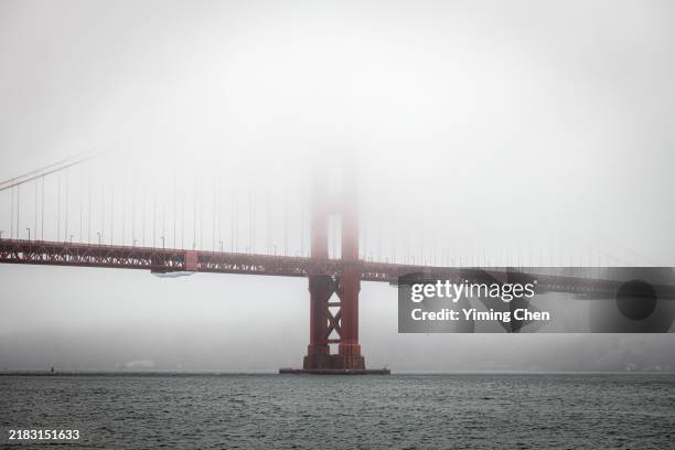 golden gate bridge in dense fog - golden gate park stock-fotos und bilder