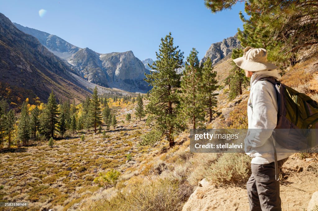 Uomo anziano che fa un'escursione nella Sierra orientale in autunno, vicino a Bishop, california