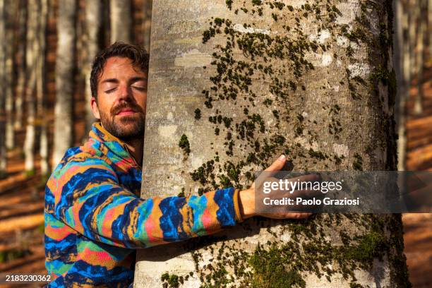 man embracing and gently caressing a tree in a beautiful natural setting - man hugging tree stock pictures, royalty-free photos & images