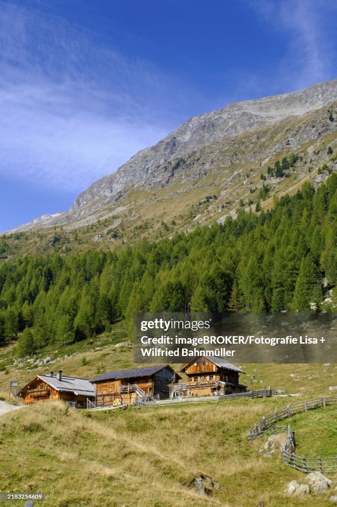 Staller Almen, high valley, Staller Sattel, Defereggen Valley, East Tyrol, Austria, Europe